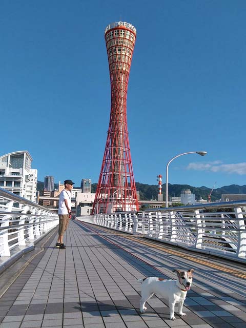 f:id:katekobe:20190916061103j:plain