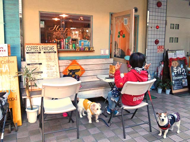 f:id:katekobe:20191106063028j:plain