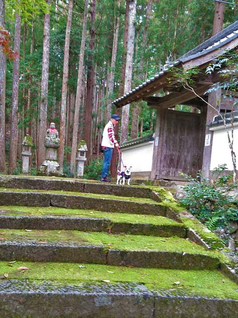 f:id:katekobe:20191107073741j:plain f:id:katekobe:20191107073741j:plain