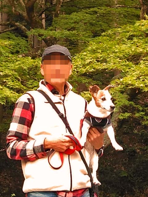 f:id:katekobe:20191107083149j:plain f:id:katekobe:20191107083149j:plain