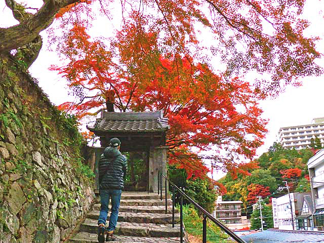 f:id:katekobe:20191125104734j:plain f:id:katekobe:20191125104734j:plain