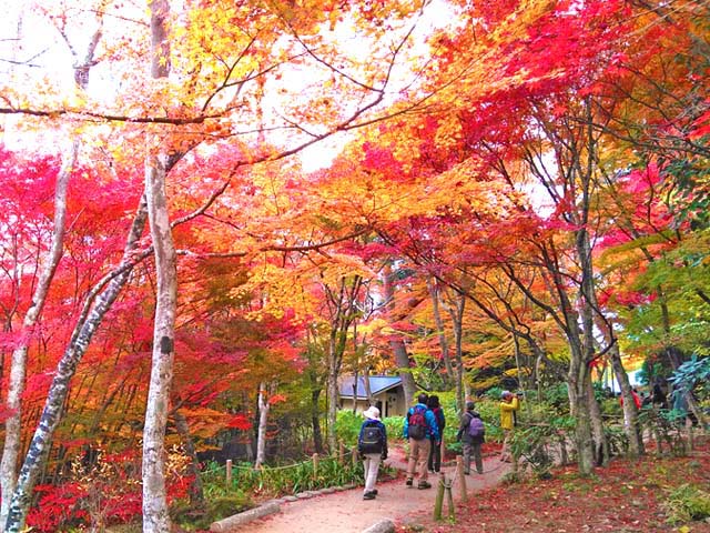 f:id:katekobe:20191125110801j:plain f:id:katekobe:20191125110801j:plain