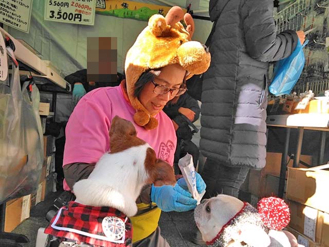 f:id:katekobe:20191202075853j:plain f:id:katekobe:20191202075853j:plain