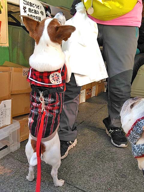 f:id:katekobe:20191202081744j:plain f:id:katekobe:20191202081744j:plain