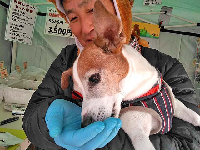 f:id:katekobe:20191202082021j:plain f:id:katekobe:20191202082021j:plain
