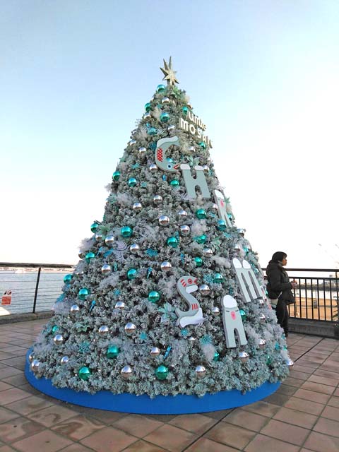 f:id:katekobe:20191213064954j:plain f:id:katekobe:20191213064954j:plain