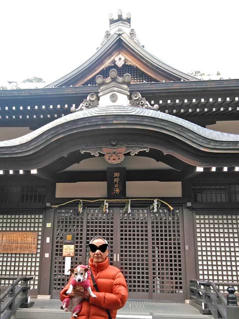 f:id:katekobe:20191231082747j:plain