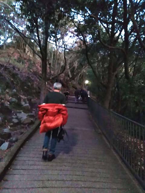 f:id:katekobe:20200103082017j:plain