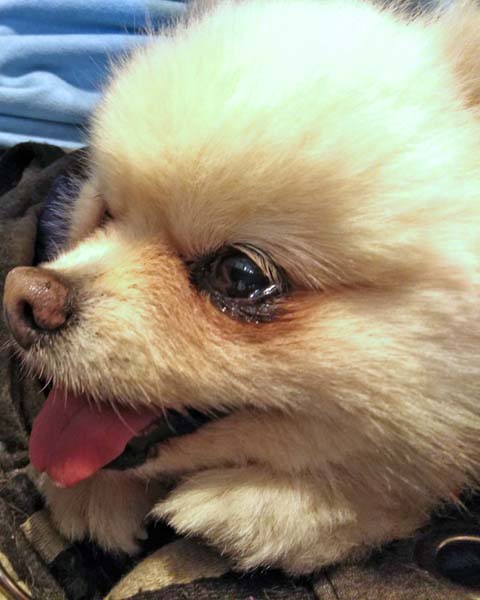 f:id:katekobe:20200105081110j:plain f:id:katekobe:20200105081110j:plain