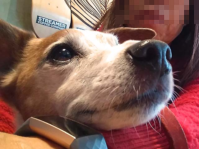 f:id:katekobe:20200105081221j:plain