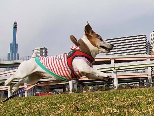 f:id:katekobe:20200115071200j:plain