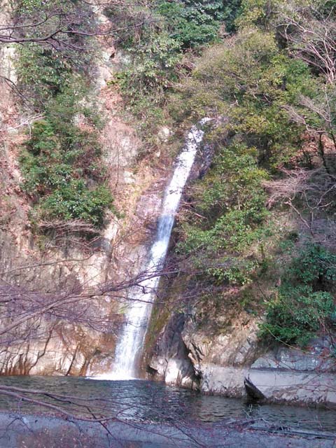 f:id:katekobe:20200217072918j:plain