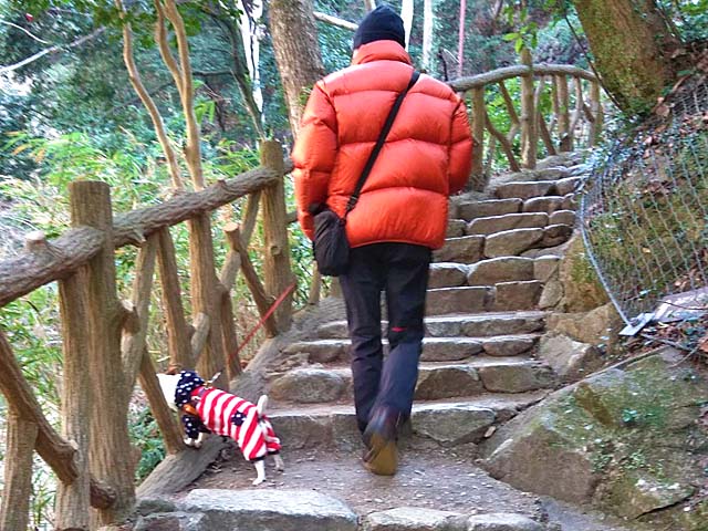 f:id:katekobe:20200217073131j:plain