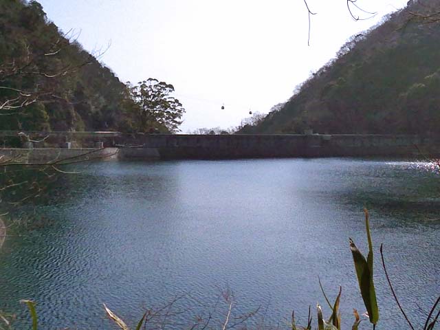 f:id:katekobe:20200217073430j:plain