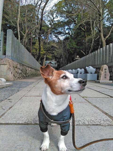 f:id:katekobe:20200301103008j:plain