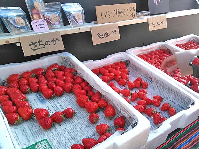f:id:katekobe:20200309070032j:plain