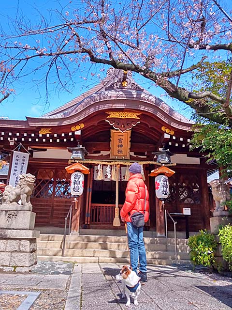 f:id:katekobe:20200330070013j:plain