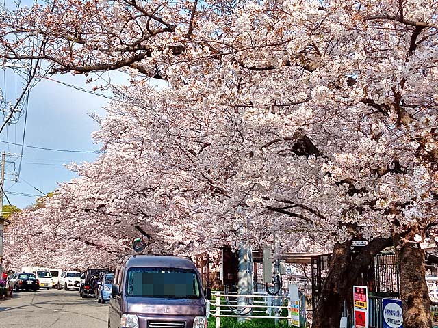 f:id:katekobe:20200405112707j:plain