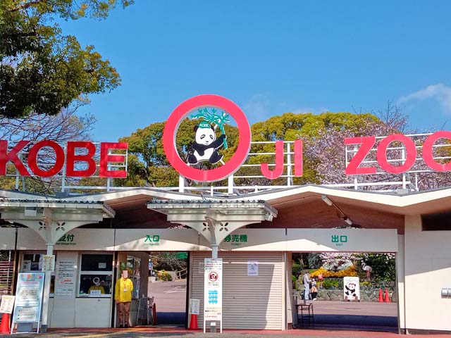 f:id:katekobe:20200406062113j:plain