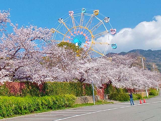 f:id:katekobe:20200406062822j:plain