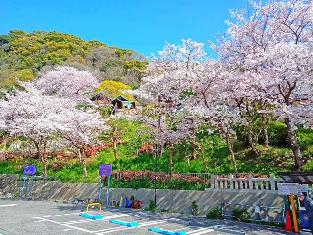 f:id:katekobe:20200408064220j:plain