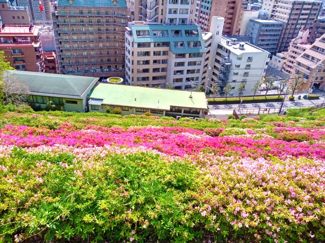 f:id:katekobe:20200504135759j:plain