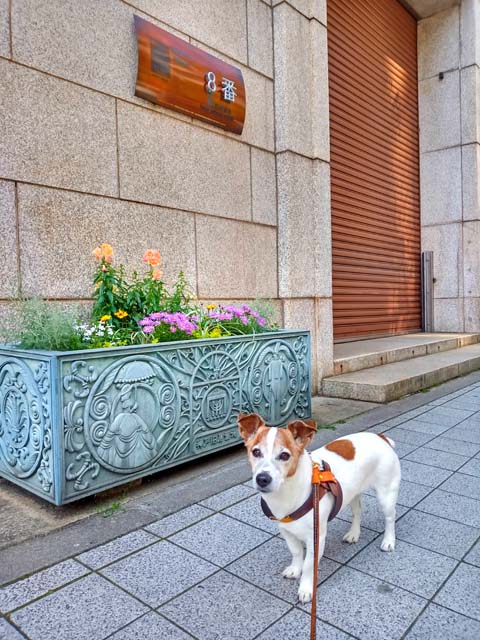 f:id:katekobe:20200508064042j:plain