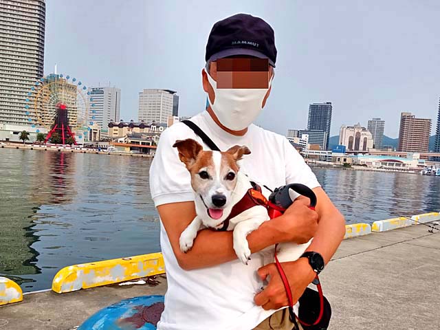 f:id:katekobe:20200607084629j:plain