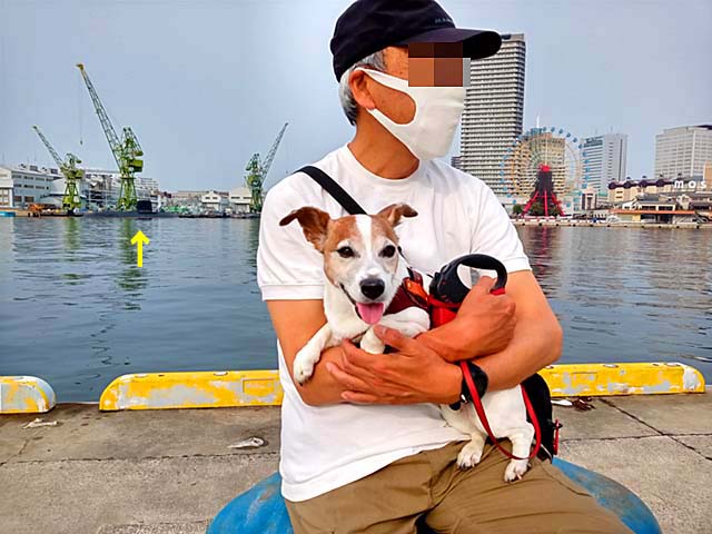 f:id:katekobe:20200607084728j:plain