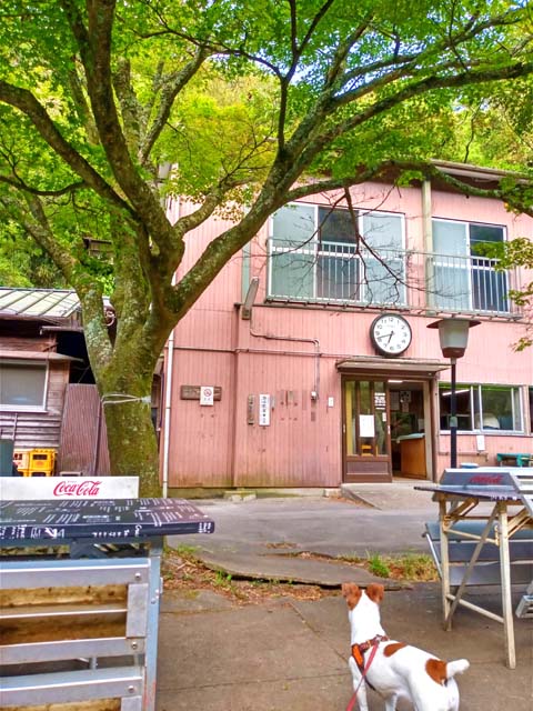 f:id:katekobe:20200613071403j:plain f:id:katekobe:20200613071403j:plain