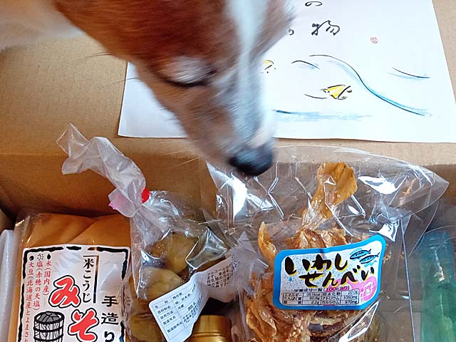 f:id:katekobe:20200708065901j:plain