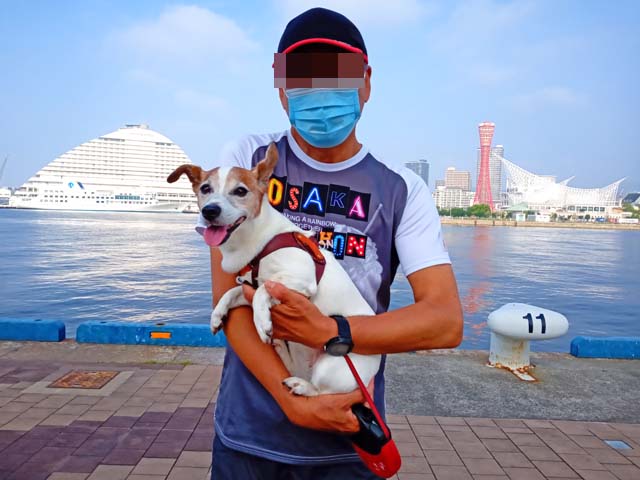 f:id:katekobe:20200806054845j:plain