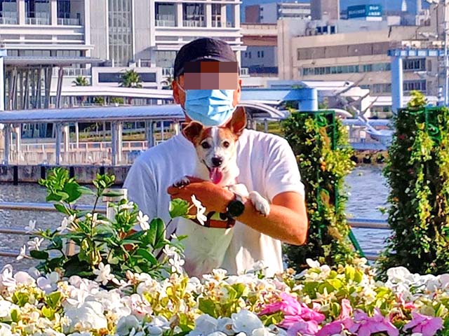 f:id:katekobe:20200816103428j:plain