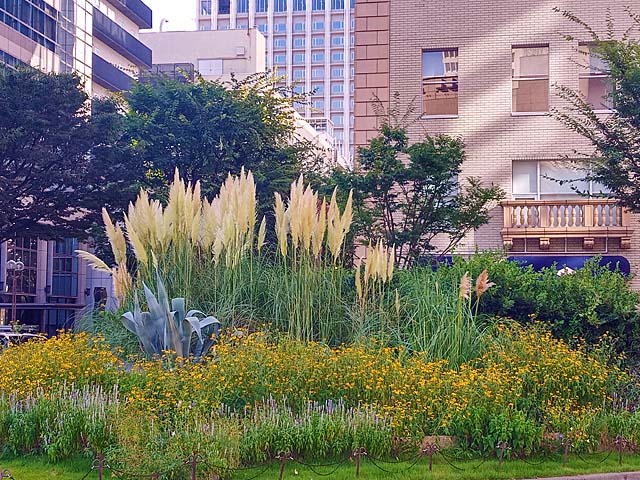 f:id:katekobe:20200827115602j:plain