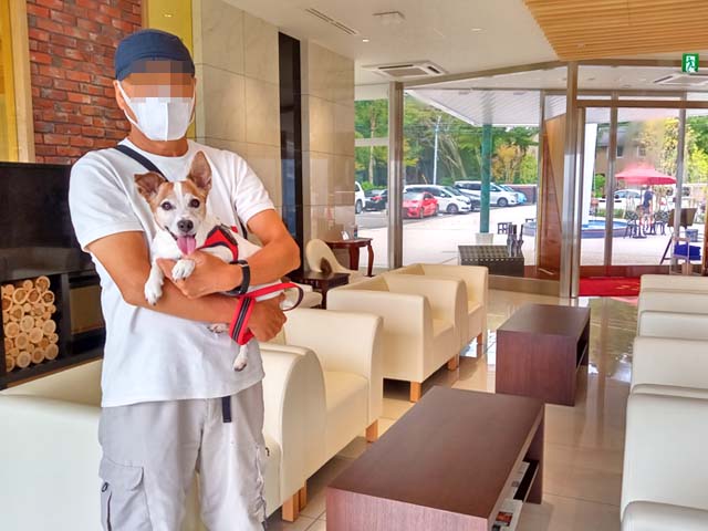 f:id:katekobe:20200903100041j:plain f:id:katekobe:20200903100041j:plain