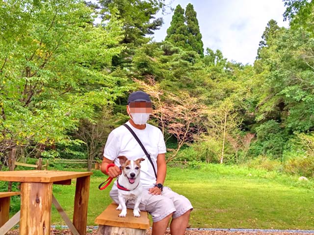 f:id:katekobe:20200906102245j:plain