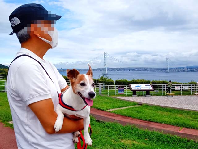 f:id:katekobe:20200918052616j:plain f:id:katekobe:20200918052616j:plain