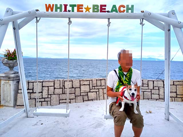 f:id:katekobe:20200918055455j:plain f:id:katekobe:20200918055455j:plain