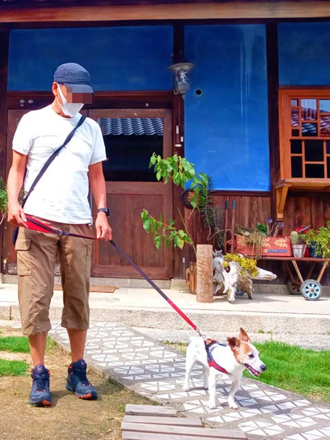 f:id:katekobe:20200921095258j:plain