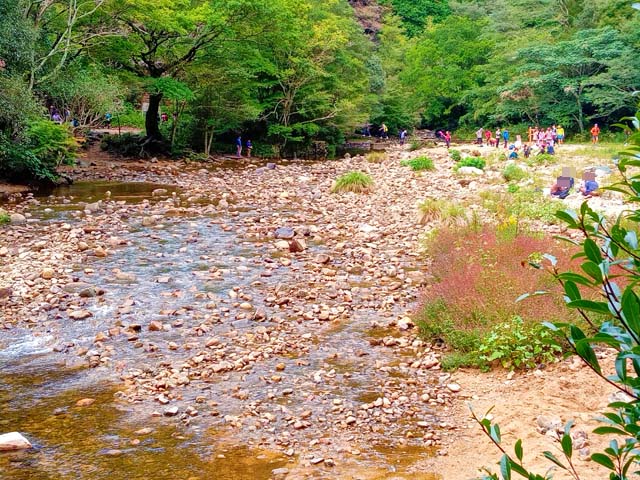 f:id:katekobe:20201025071653j:plain
