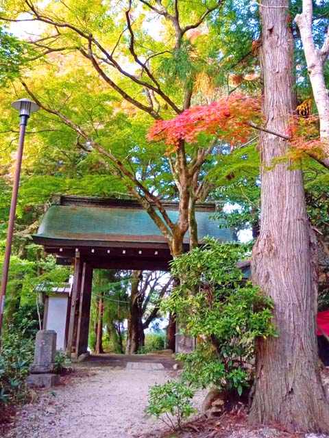 f:id:katekobe:20201103074453j:plain