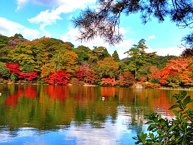 f:id:katekobe:20201115074745j:plain