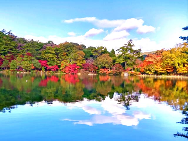 f:id:katekobe:20201115074755j:plain