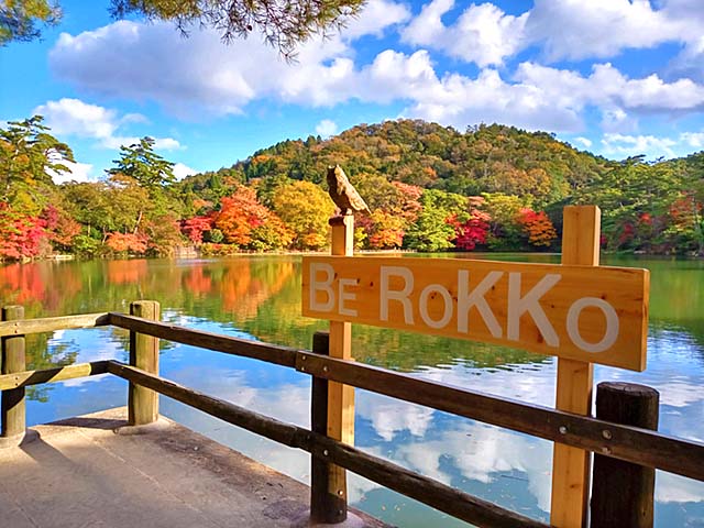 f:id:katekobe:20201115074959j:plain