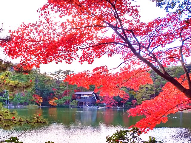 f:id:katekobe:20201115075315j:plain