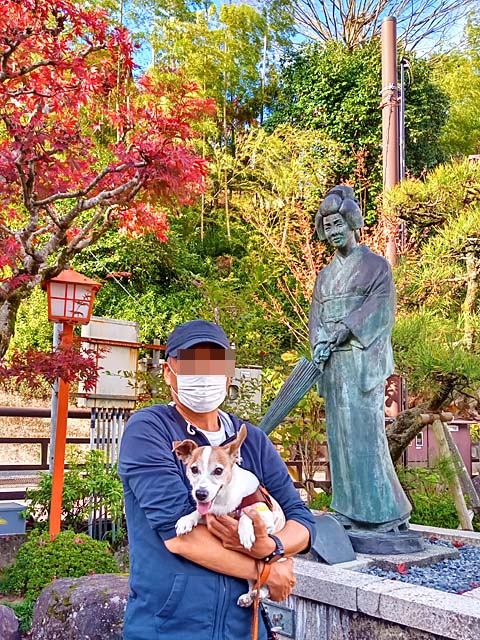 f:id:katekobe:20201130082255j:plain
