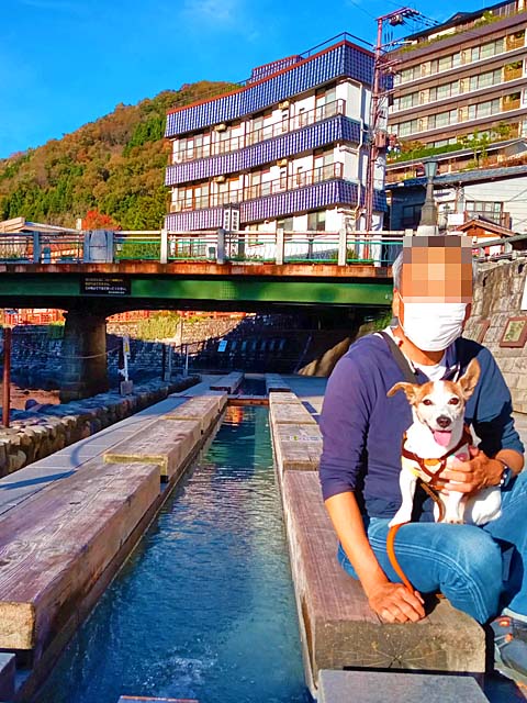 f:id:katekobe:20201130082448j:plain
