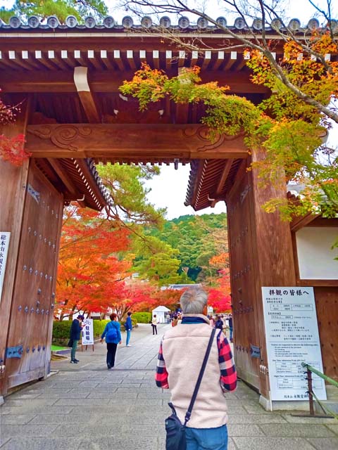 f:id:katekobe:20201206075324j:plain