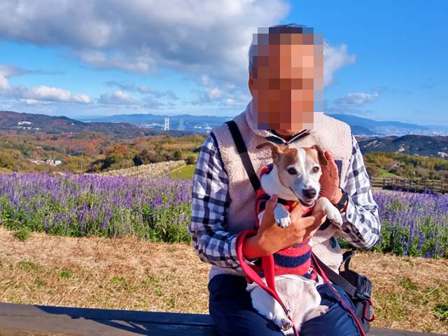 f:id:katekobe:20201210065121j:plain