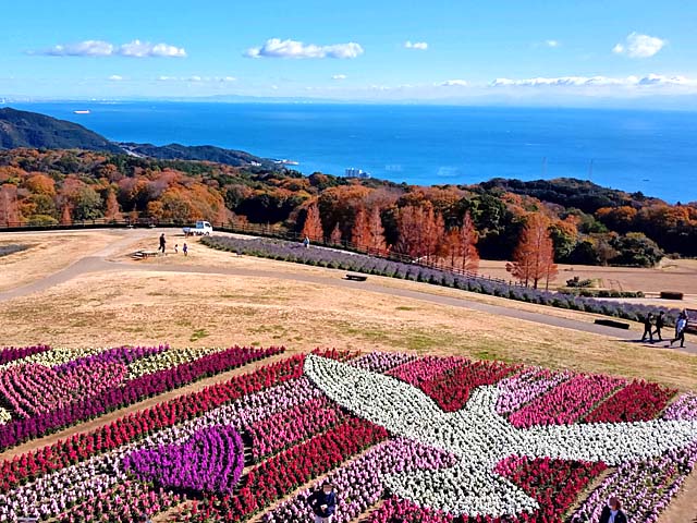 f:id:katekobe:20201210070118j:plain